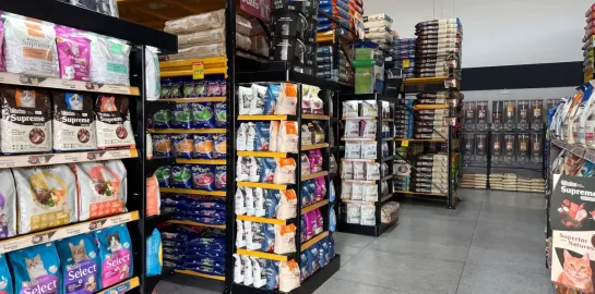 Como montar um pet shop: guia de layout e gôndolas